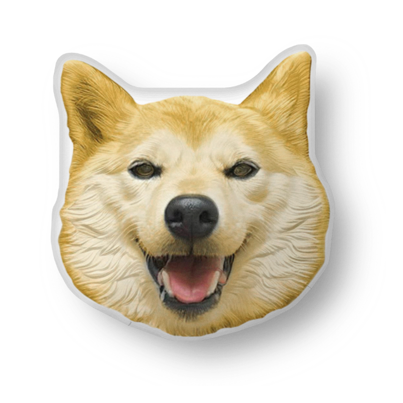 Neiro Pillow